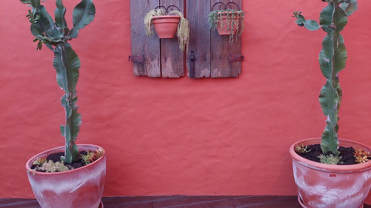 Photo of Outdoor in Alte