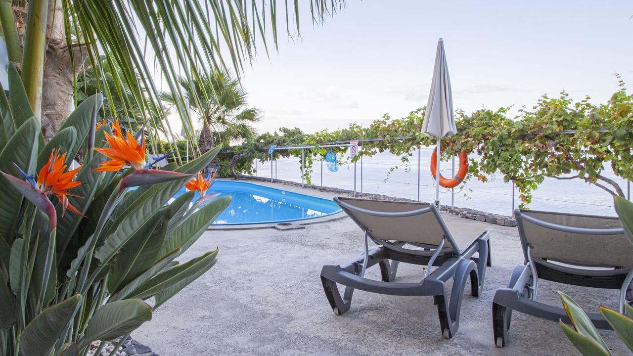 Photo of Outdoor in Arco da Calheta