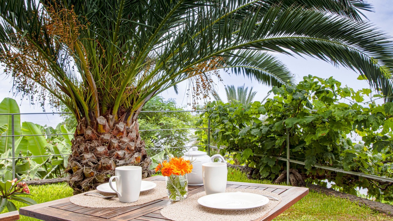 Photo of Outdoor in Arco da Calheta