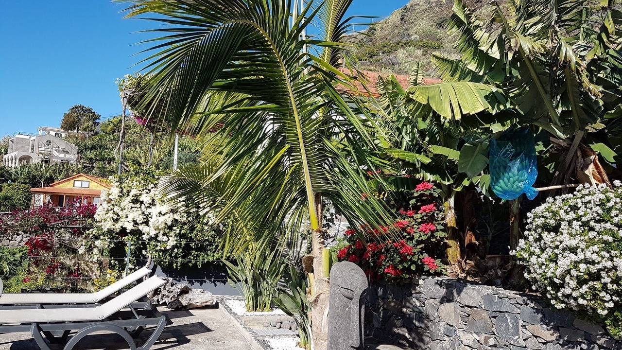 Photo of Patio Balcony in Arco da Calheta