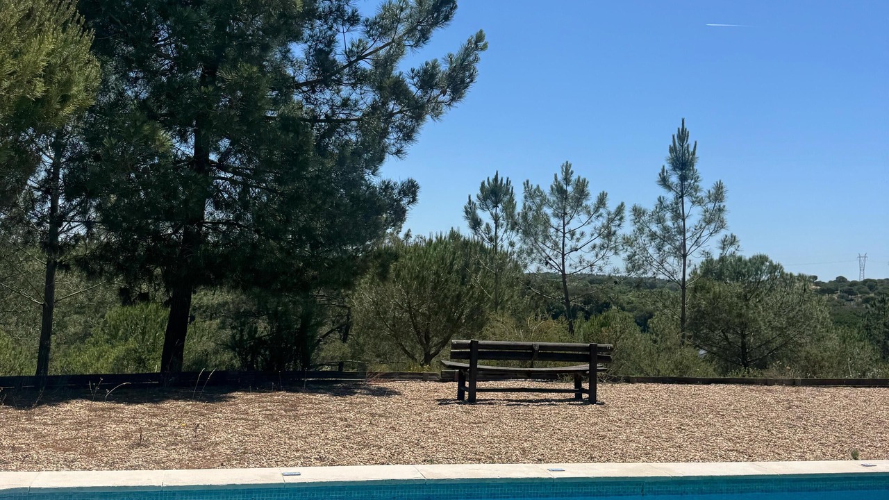 Photo of Outdoor in Santa Maria do Castelo