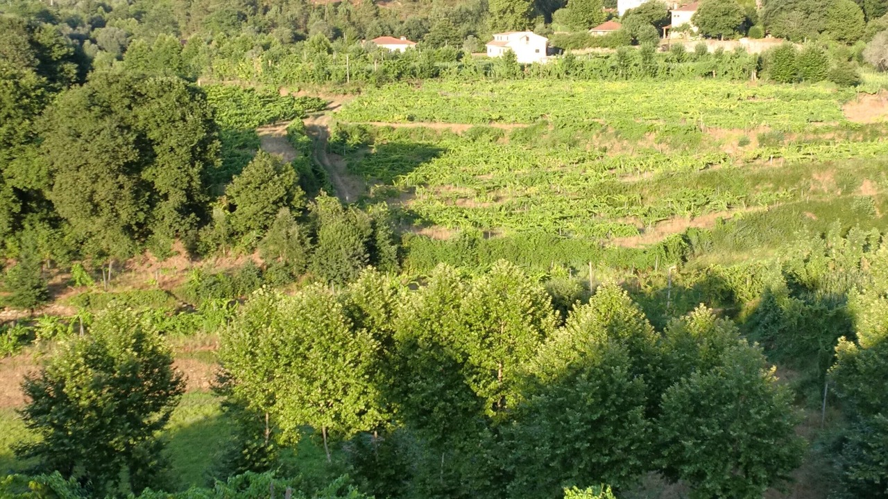 Photo of Outdoor in Molares