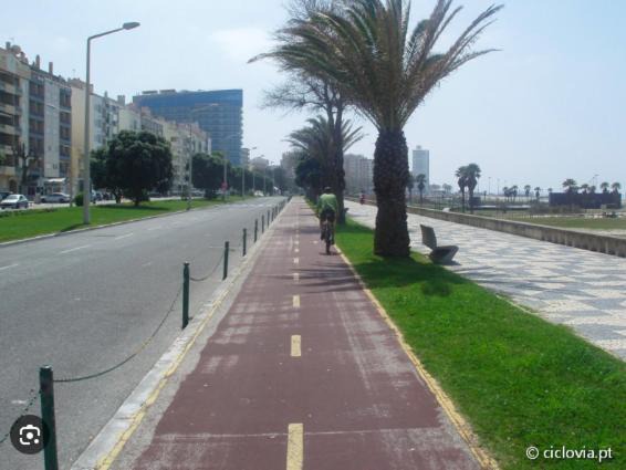 Photo of Others in Figueira da Foz