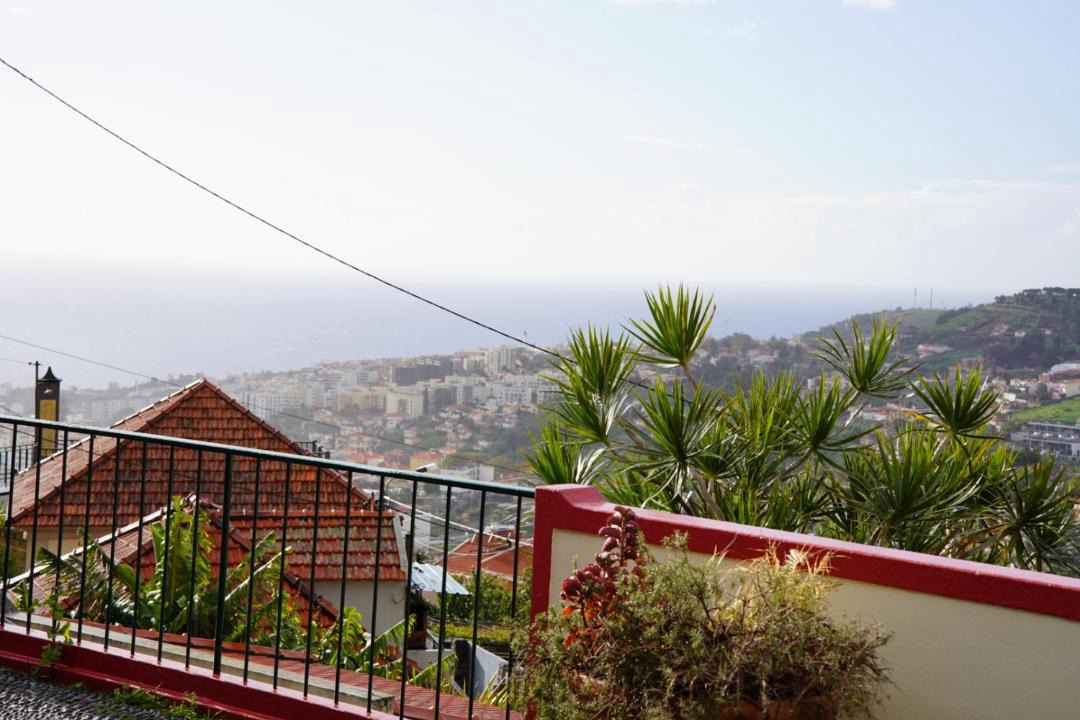 Photo of Others in Sao Roque