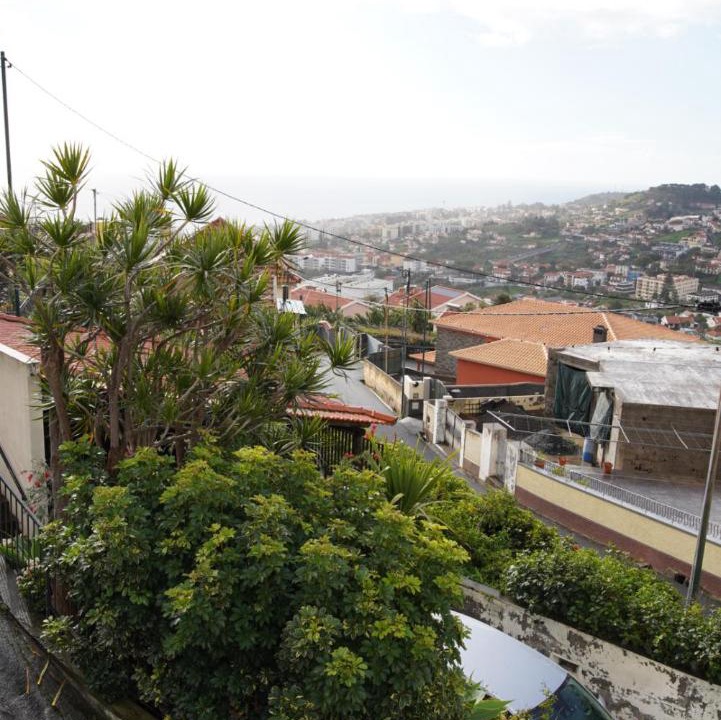 Photo of Others in Sao Roque