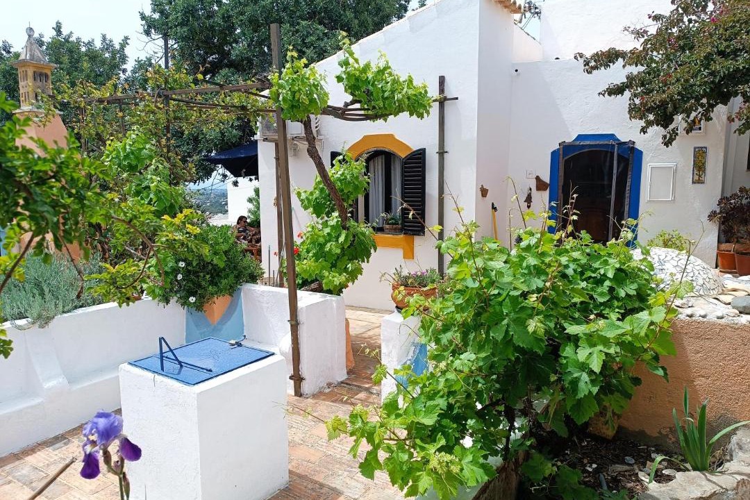 Photo of Others in Sao Clemente