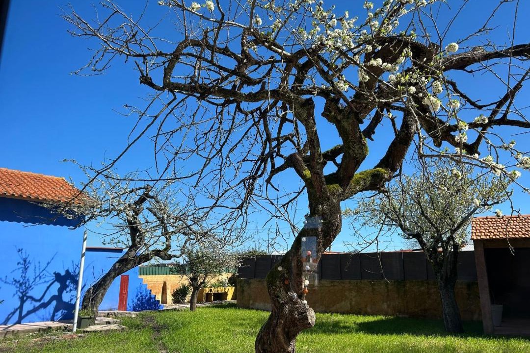 Photo of Others in Murtosa