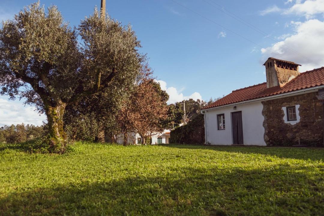 Photo of Others in Tomar