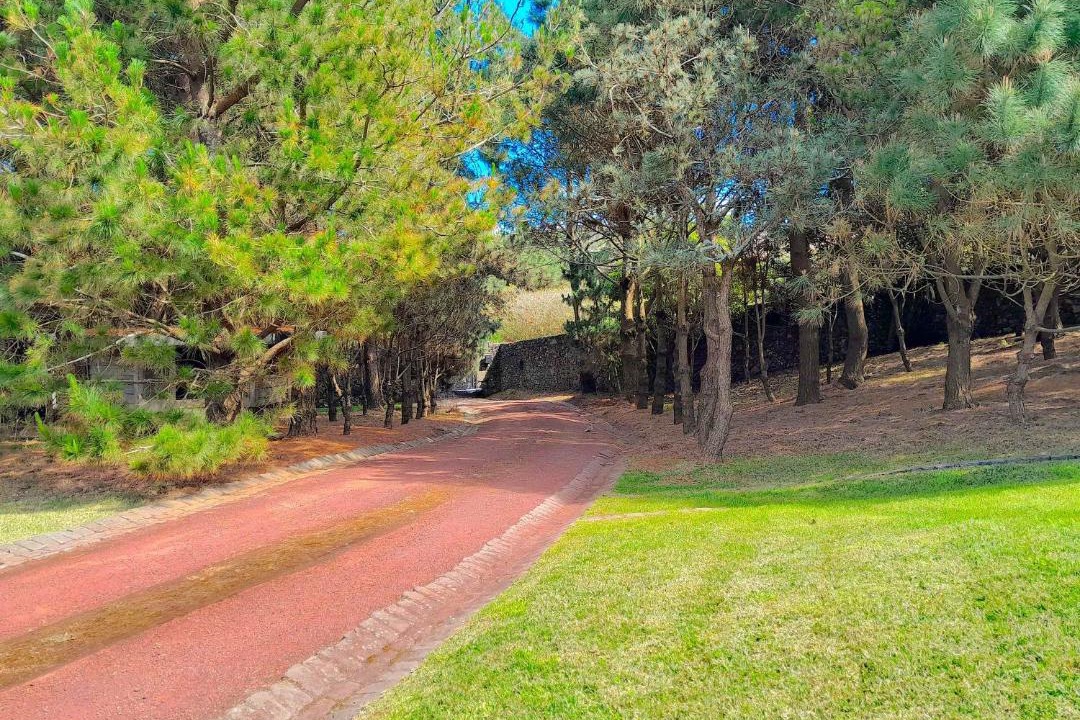 Photo of Outdoor in Fenais da Luz