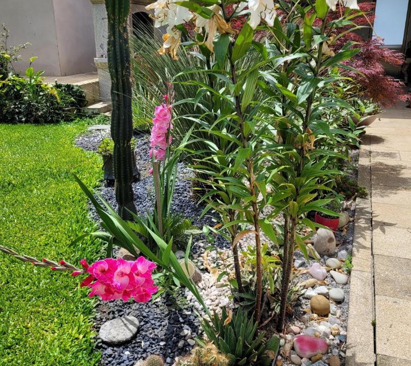 Photo of Outdoor in Ponte de Lima