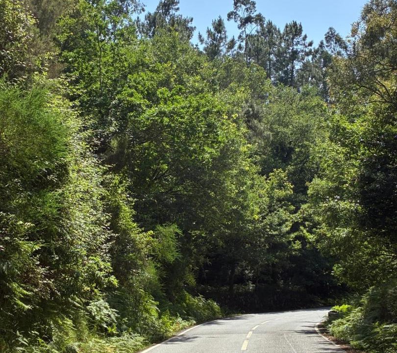 Photo of Others in Merufe