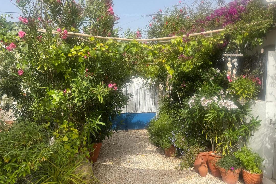 Photo of Others in Aldeia