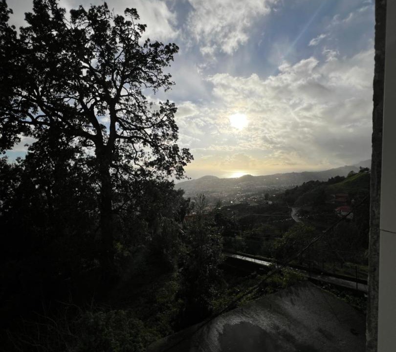 Photo of Others in Monte