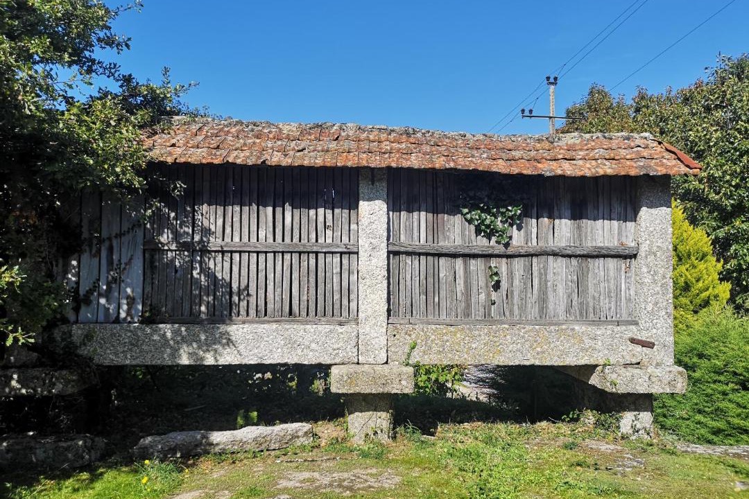 Photo of Others in Sao Goncalo