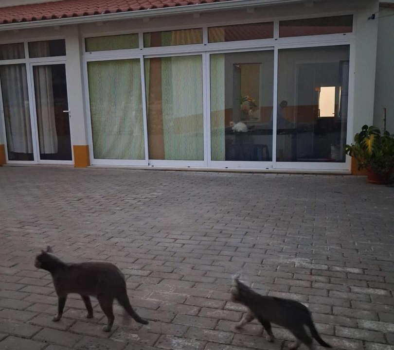 Photo of Others in Porto de Mos