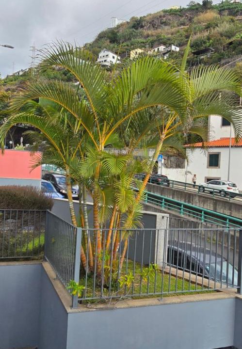 Photo of Others in Calheta