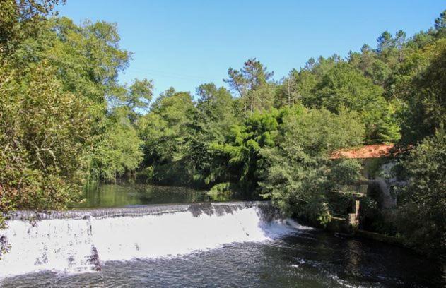 Photo of Others in Paredes de Coura