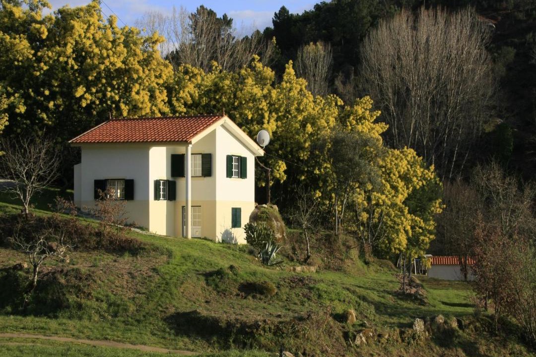 Photo of Others in Covas