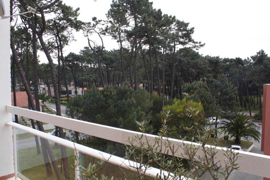 Photo of Patio Balcony in Darque