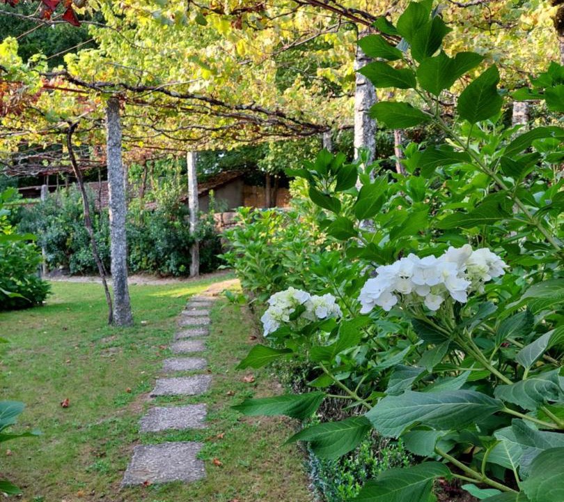 Photo of Outdoor in Arcos de Valdevez