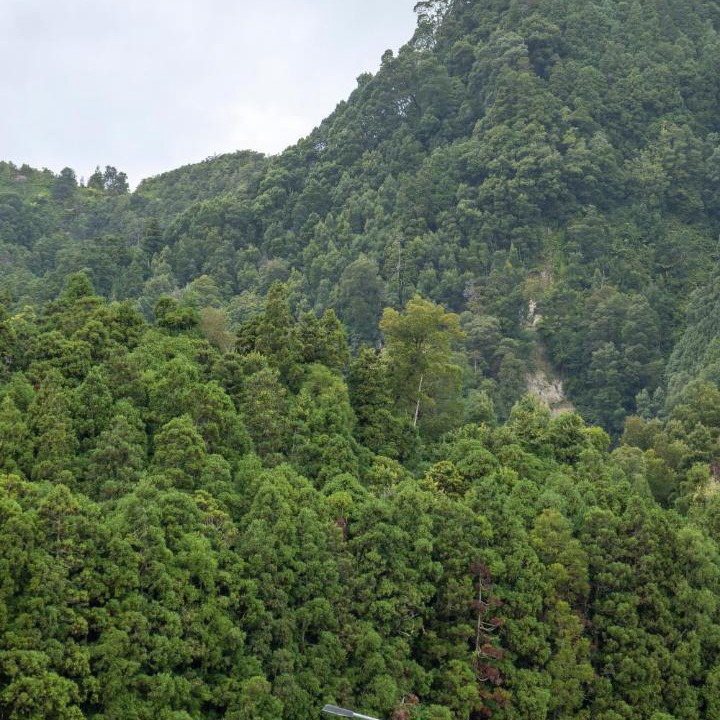 Photo of Others in Furnas