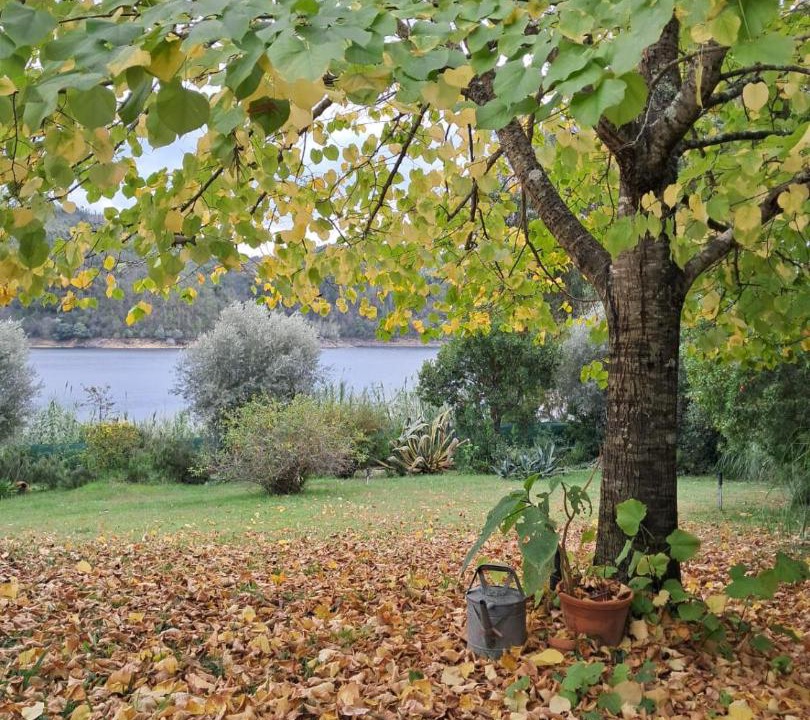 Photo of Others in Olalhas