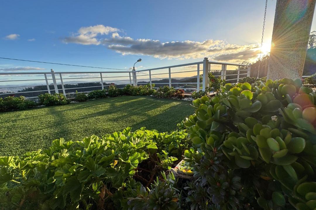Photo of Patio Balcony in Portela