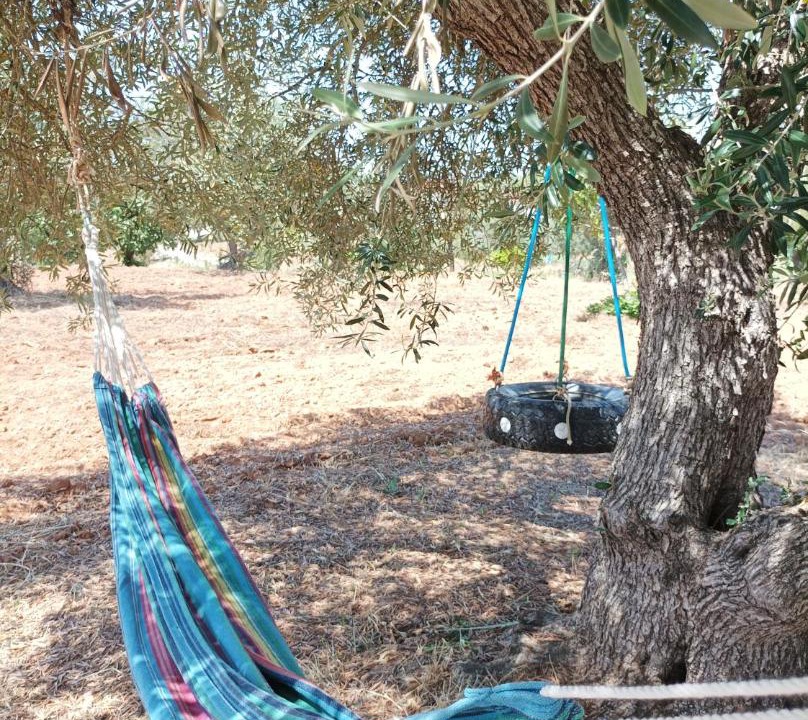 Photo of Others in Serpa