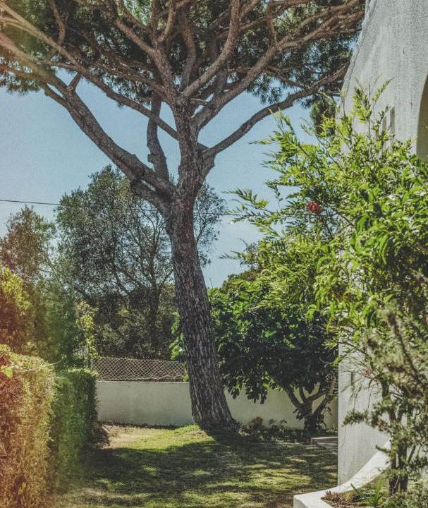 Photo of Others in Faro