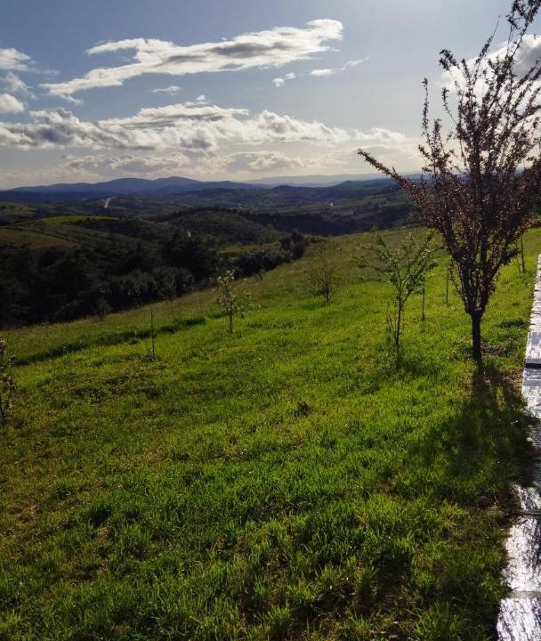 Photo of Others in Mogadouro