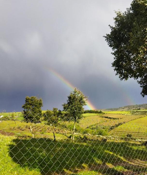 Photo of Others in Mogadouro