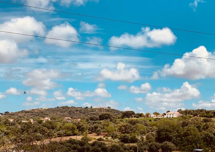 Photo of Others in Sao Bras de Alportel