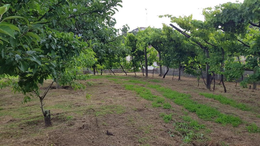 Photo of Outdoor in Amarante