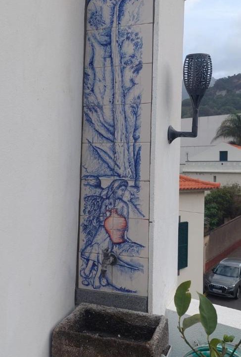 Photo of Others in Porto da Cruz