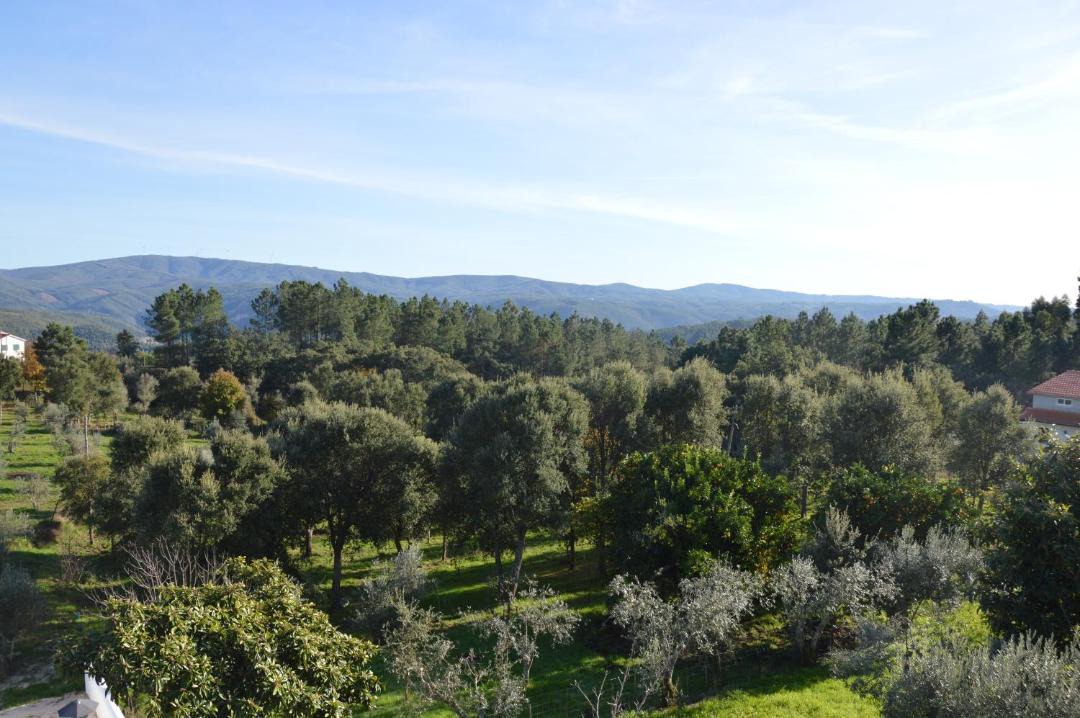 Photo of Outdoor in Pedrogao Grande