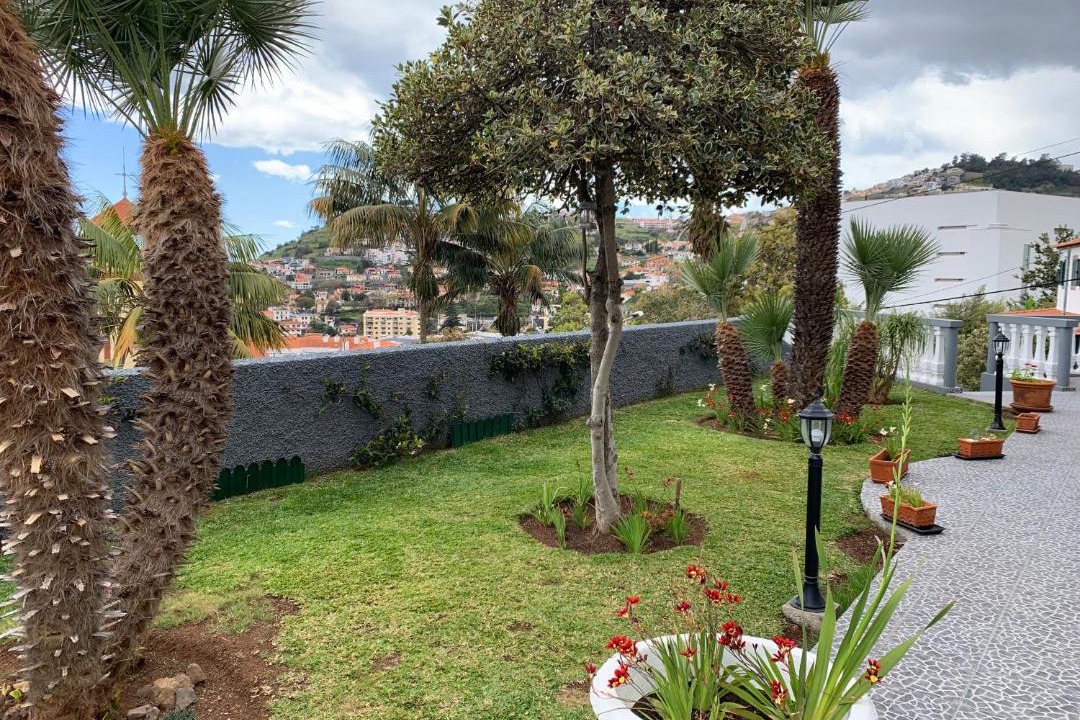 Photo of Others in Sao Roque