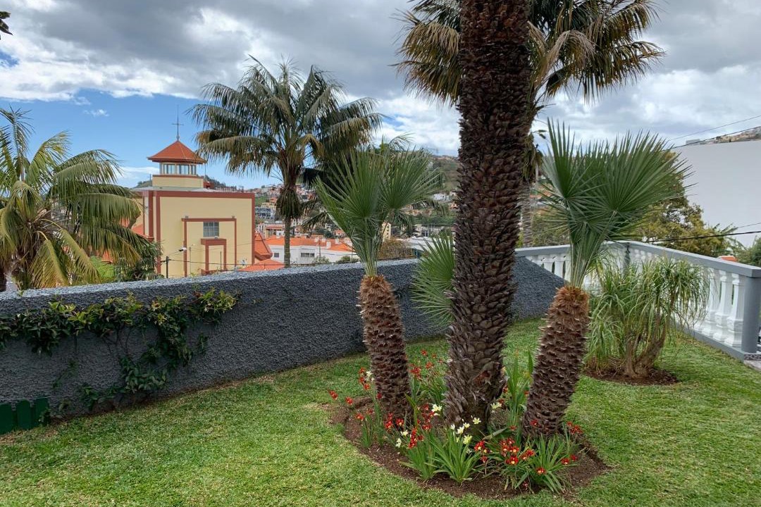Photo of Others in Sao Roque