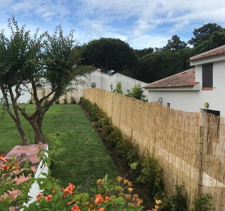 Photo of Others in Fonte de Sesimbra