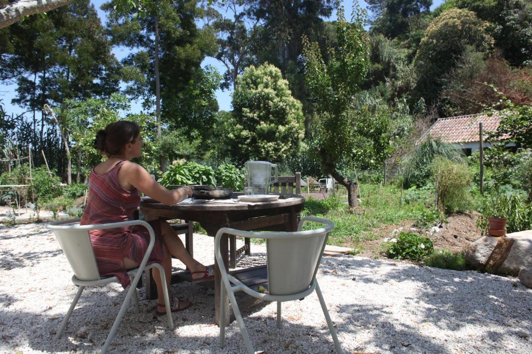 Photo of Others in Monserrate