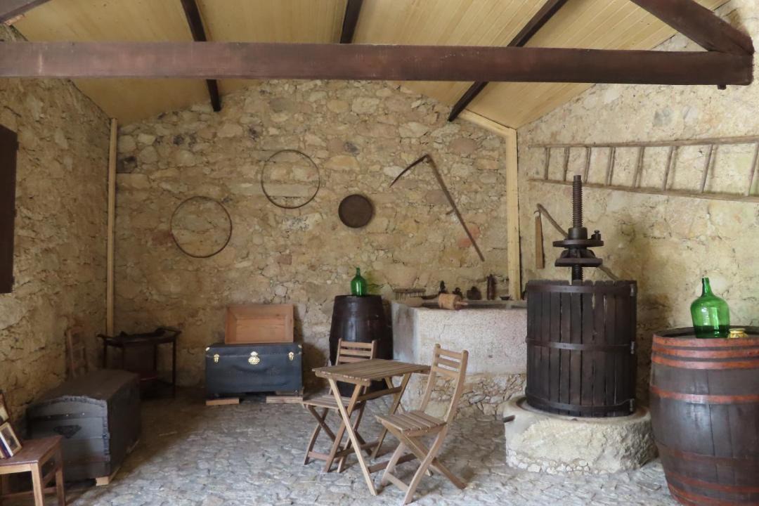 Photo of Others in Oliveira De Azemeis