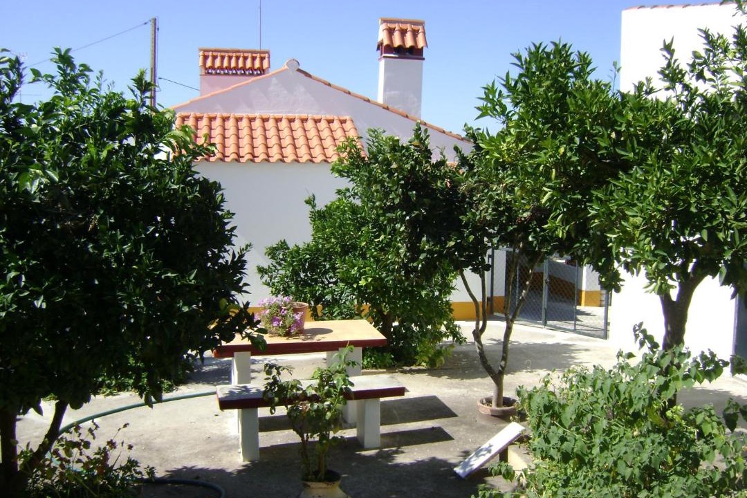 Photo of Others in Barretos