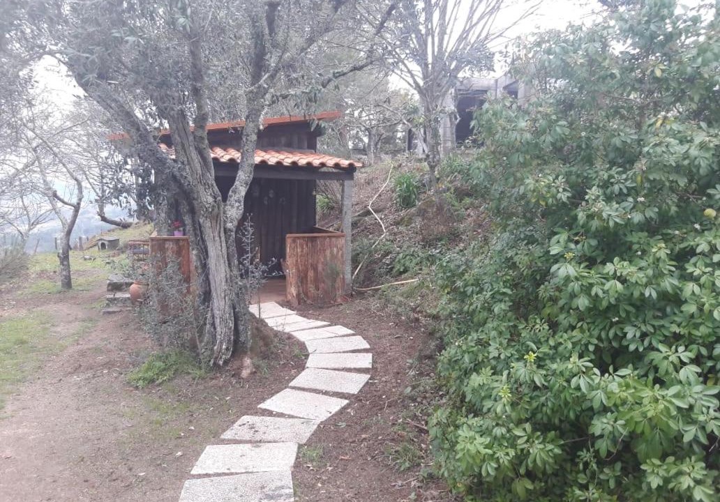 Photo of Others in Manhuncelos