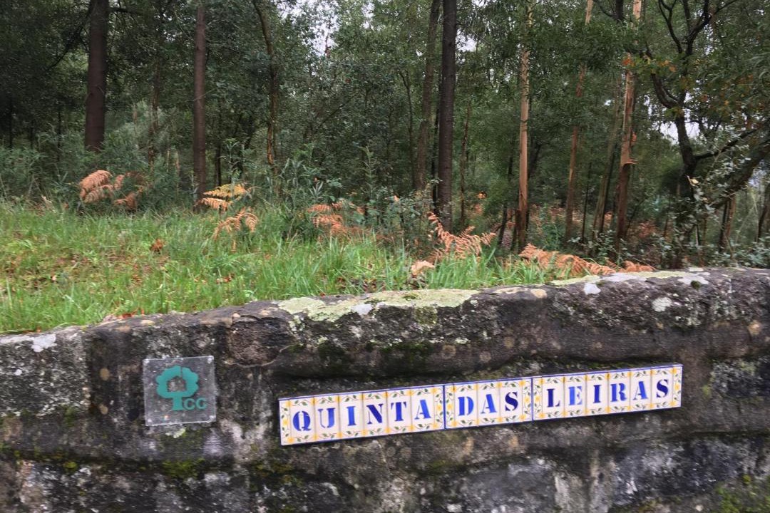 Photo of Others in Santo Tirso