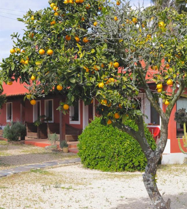 Photo of Others in Sao Teotonio