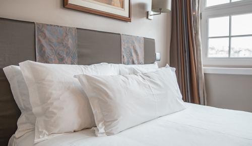 Double Room, 1 Queen Bed, River View (Room 402)