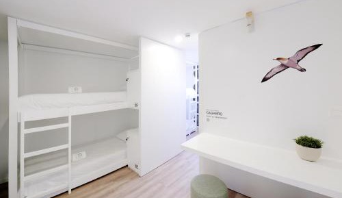 Single Bed in Male Dormitory Room