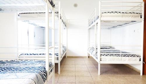 Bed in 6-Bed Female Dormitory Room