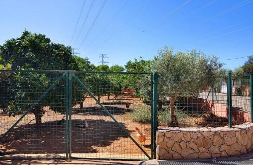 Tunes Villa | At-tunis