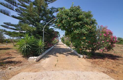 Luz de Tavira House | Quinta Alegre Tavira T2