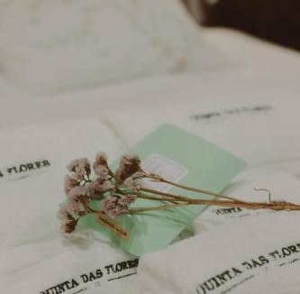 Geraz do Lima Villa | Quinta das Flores